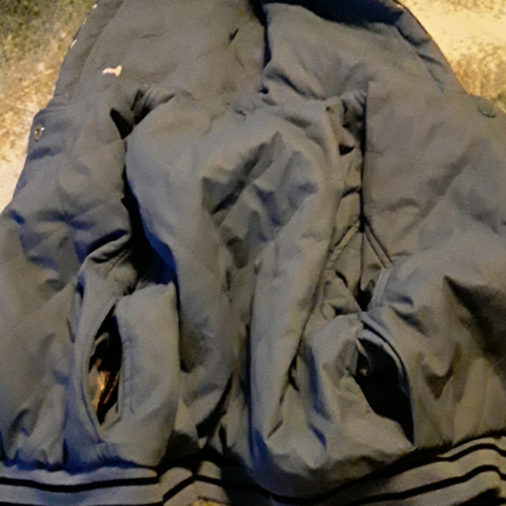 Coat - Picture 3 of 8